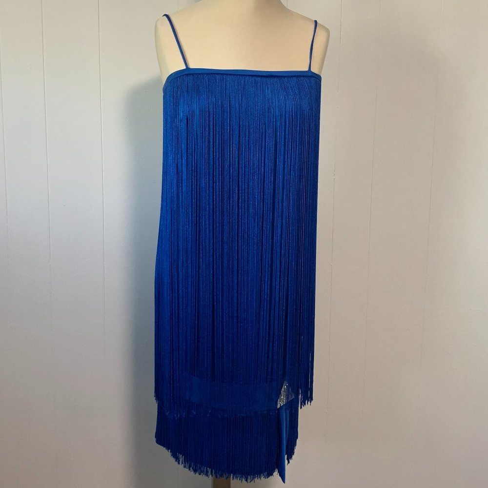 Stunning Rare Vintage Fringe Dress